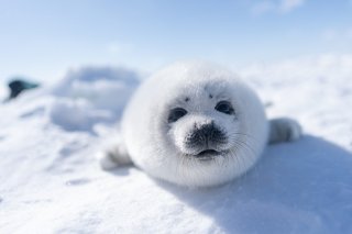 降臨！ 2019.10.30（水）