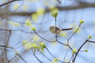 文化の日 2019.11.3（日）