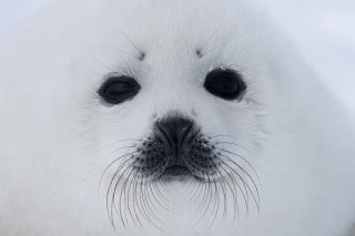 自信あり 2019.11.2（土）