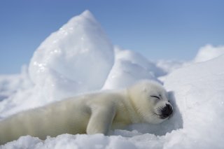 お昼寝 2019.11.8（金）