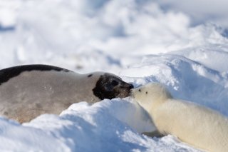 ママ、大好き 2019.11.11（月）