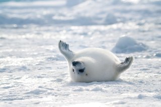 日焼け 2019.11.14（木）