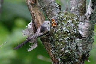 むぅ！ 2019.11.21（木）