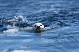 しゃっこい 2019.11.23（土祝）