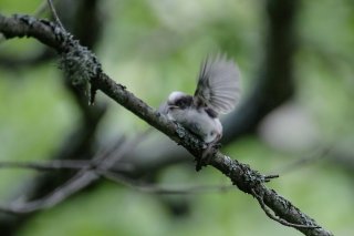 奇跡の一枚 2019.11.24（日）