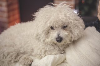 湿度が低い日も怖くない！デート前の「くせ毛」を時短で救う