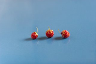 セックス依存が語る愛 ジョブズとジョーカーからのエリカ様