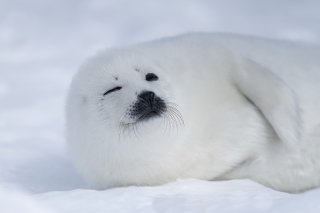 ウインク 2019.11.26（火）