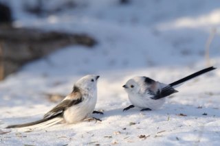 smile 2019.11.27（水）