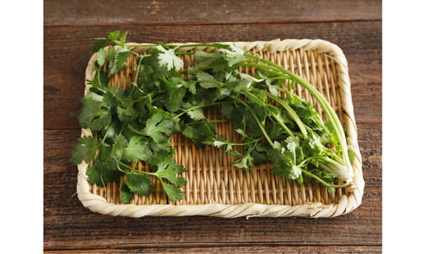 根っこは炒め物に使うとおいしい（写真:ぐっち夫婦）