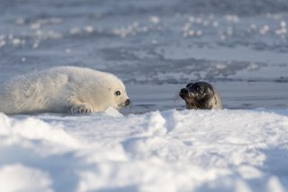 母子のナイショ話① 2019.11.29（金）