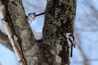 凛々しい 2019.11.30（土）