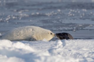 母子のナイショ話② 2019.12.2（月）