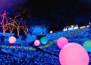 相模湖イルミリオン、2019年のイルミネーションの様子（写真:東城ゆず）