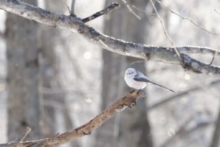 冬日 2019.12.3（火）