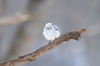 またね☆ 2019.12.6（金）