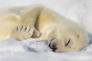 お寝坊さん 2019.12.8（日）