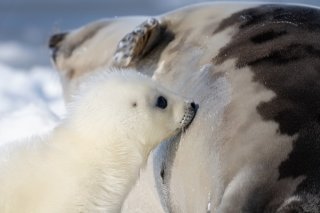 チューチュー 2019.12.11（水）