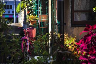 初めての自転車は 2019.12.13（金）