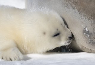 ごはんのあとは 2019.12.14（土）