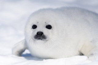 理由はひとつ 2019.12.17（火）