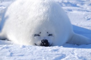 溶け待ち 2019.12.20（金）