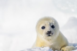 White Christmas 2019.12.23（月）