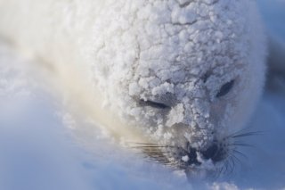 仕事納めまで 2019.12.26（木）