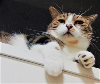 明日から… 2020.1.5（日）