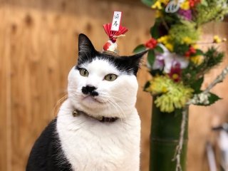 来年は絶対幸せに!福を呼ぶ縁起物「正月花」をゲットして