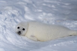 えっオランピア？ 2019.12.29（日）