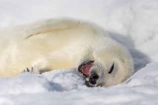 初心 2020.1.4（土）