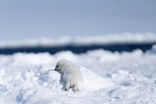 エッチ！ 2020.1.10（金）