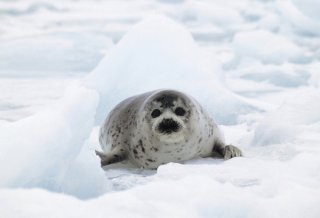 大人への階段 2020.1.13（月祝）