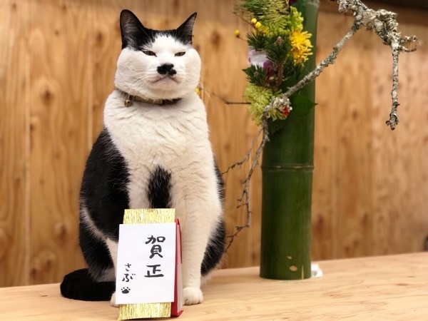 御年始のご挨拶でございます