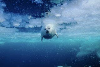 特訓からのダイブ 2020.1.19（日）