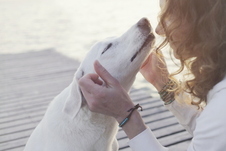 構って欲しいわんこ系男子かも（写真:iStock）