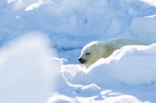 盗撮、だめ!? 2020.1.28(火)