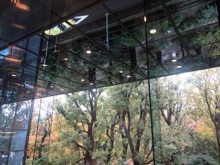 ほっとひといき 2020.2.4(火)