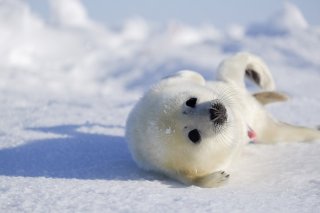 生まれたて 2020.1.31(金)