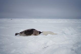 チュッ 2020.2.3(月)