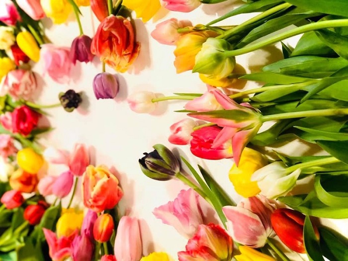 めっちゃラブリ～（写真:浅野光寿）