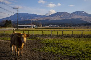 ちゃんと撮れた? 2020.2.5(水)