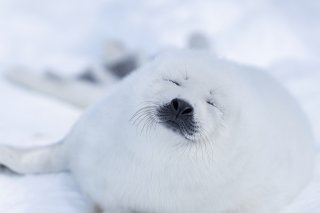 ちゅる肌の日 2020.2.6(木)