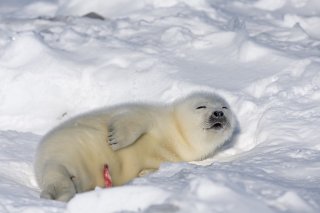 日曜日だ 2020.2.9(日)