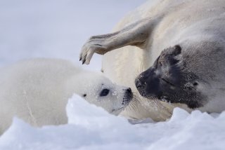 タカラモノ 2020.2.15(土)