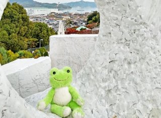 あなたも“カエラー”に！カエルグッズでカエルライフを楽しむ