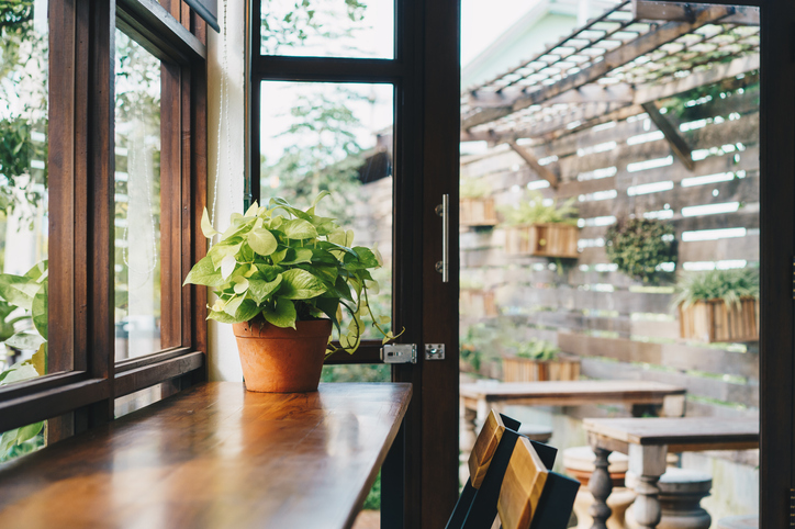 植物がたっぷりのカフェでデートはいかが？（写真:iStock）