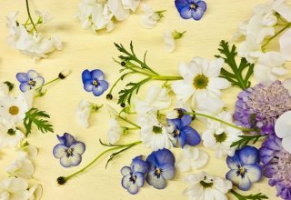 生活保護者の柩に添えられた友人からの別れの花は「心の花」