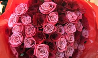 浮気調査開始!最凶&最狂アプリで精神崩壊「人間だもの」